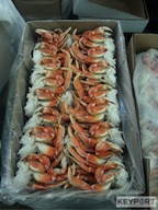 KeyportDungeness_715