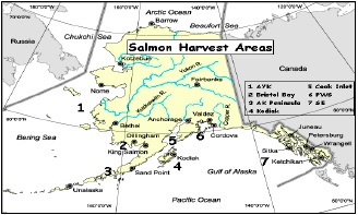 SalmonReport8_29_15_B