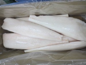 Halibut2