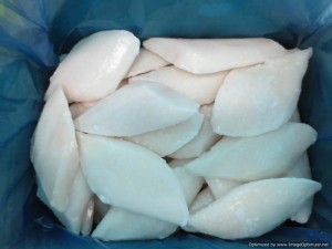 Halibut3