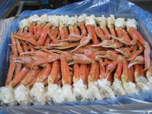 Crab 003