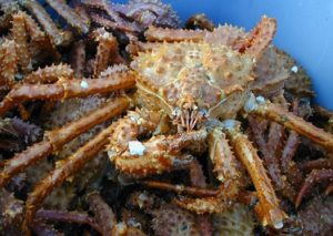 Southeast Alaska Gold & King Crab Southeast Alaska Gold& King Crab