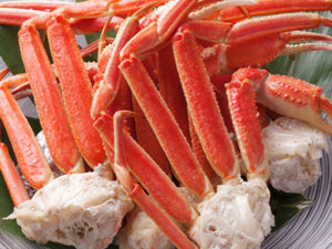Snow crab