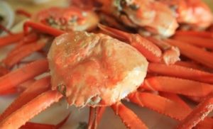 snowcrabgeneric