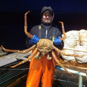 Golden King Crab Golden King Crab