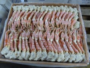 Snow Crab