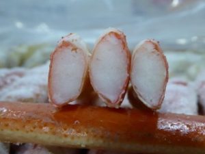 Snow Crab