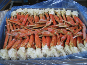 snowcrab717