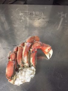 Alaska Dungeness Sections